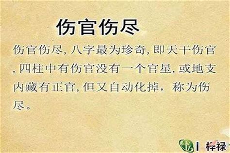 官非|八字的官非是什么意思 (小人当道口舌官非什么意思)